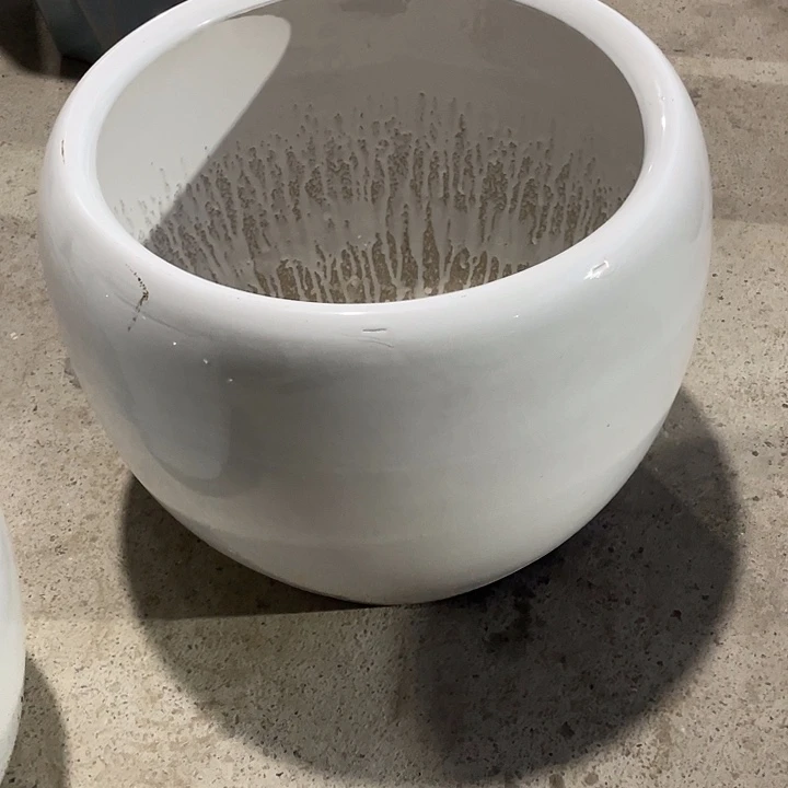 我是一只小小鸟地域鬼的人生观