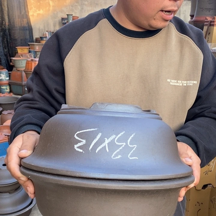 紫砂花盆盆栽花卉苗木种植