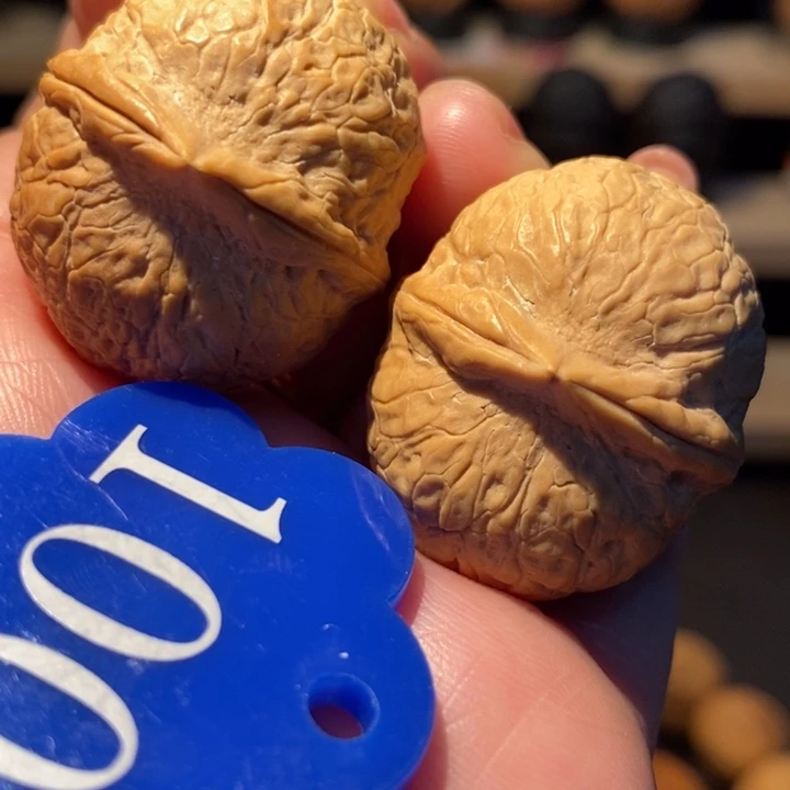 木质类蛇皮球32尺寸，开播福利