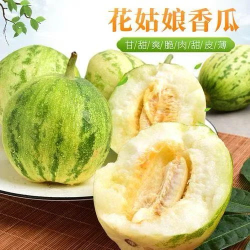 头茬 东北花姑娘香瓜  脆甜多汁香甜 现摘现发【顺丰包邮】