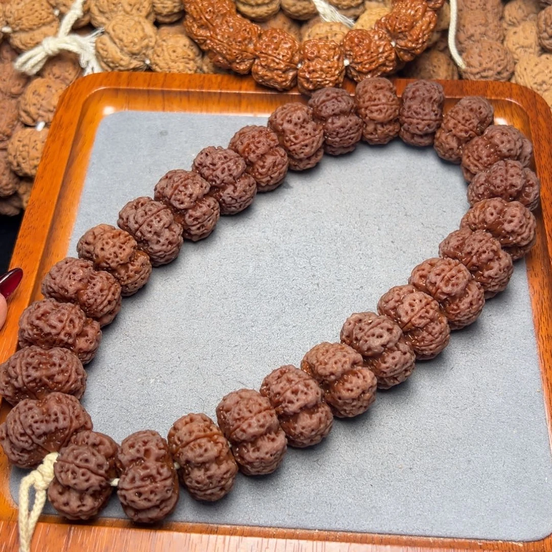 24号尼泊尔大金刚24飞碟梅花梅花夹板手持（27颗籽）