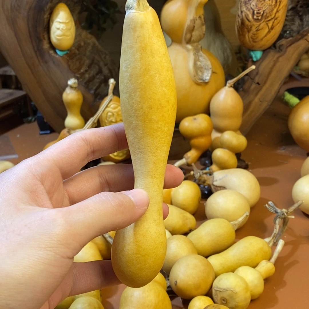 月***溪教练教练咯教练经理