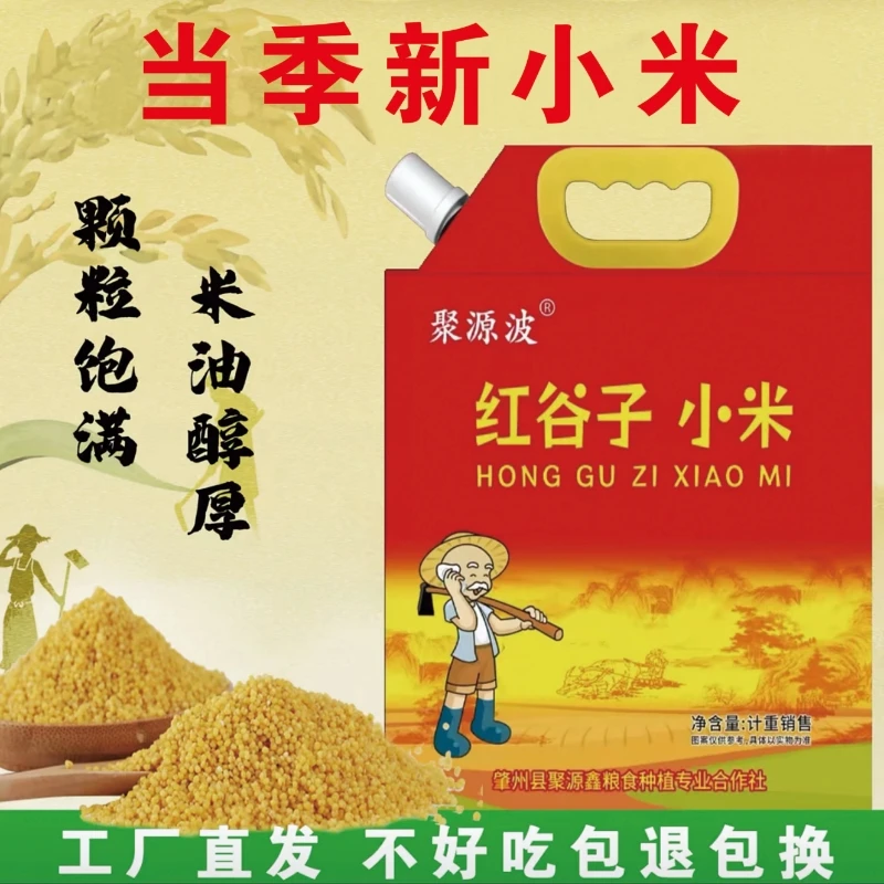 东北农家25年新红谷子小米 口感粘软糯  厂家直发1