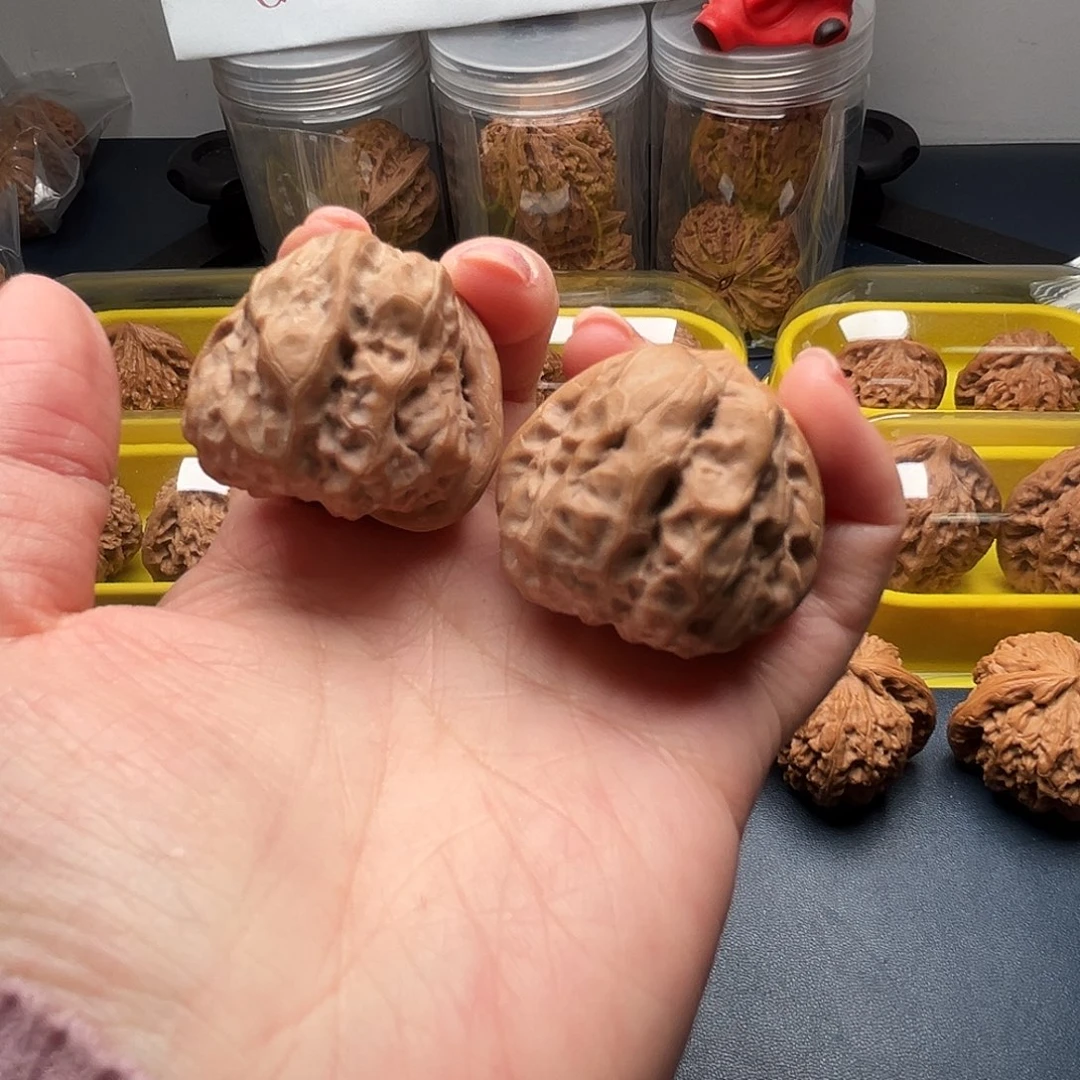 核桃38.6尺寸蛤蟆头