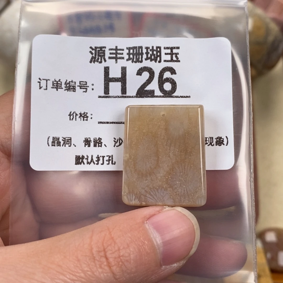 硅化玉颈饰未镶嵌进*中