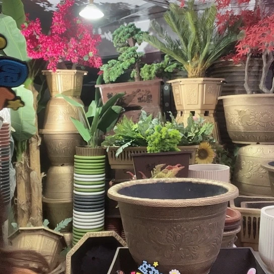 复合盆景制作方法