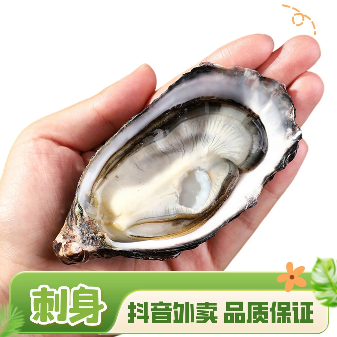 新西兰马尔伯勒生蚝刺身1个 鲜活现杀