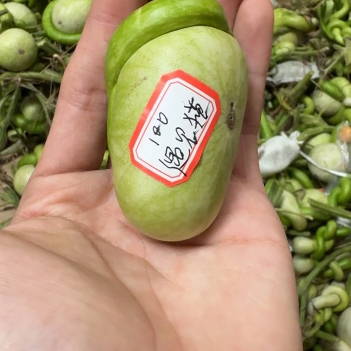 遇*猫哈哈哈哈哈哈哈哈哈哈哈哈哈哈