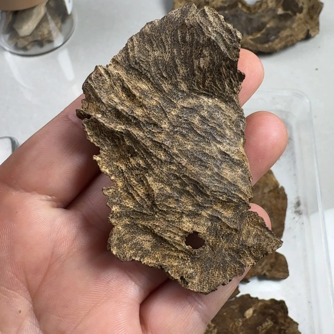 沉香沉香碎屑海南树根