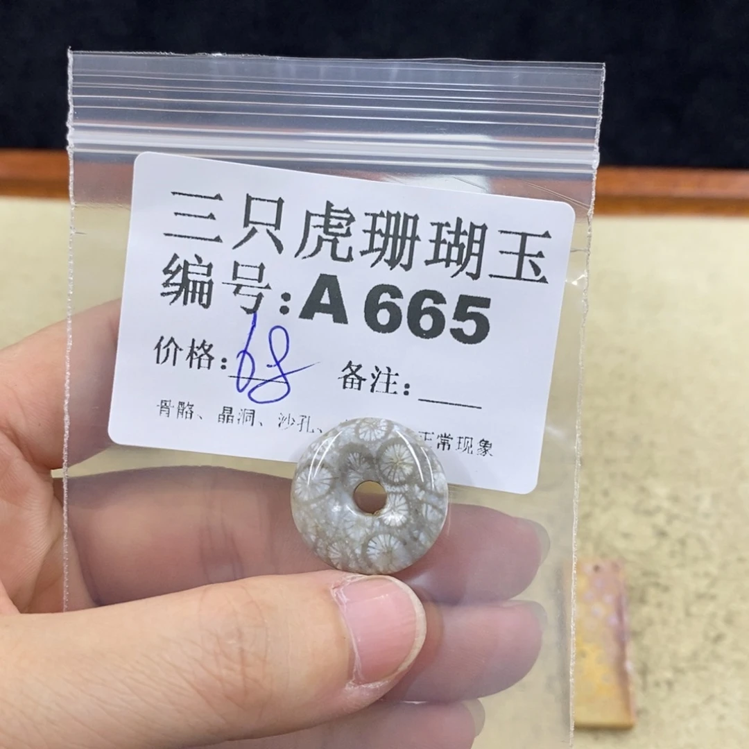 硅化珊瑚（珊瑚玉）1未镶嵌菲*
