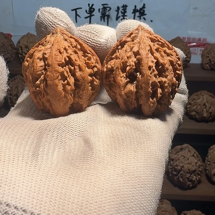 秦岭野生粗筋八棱