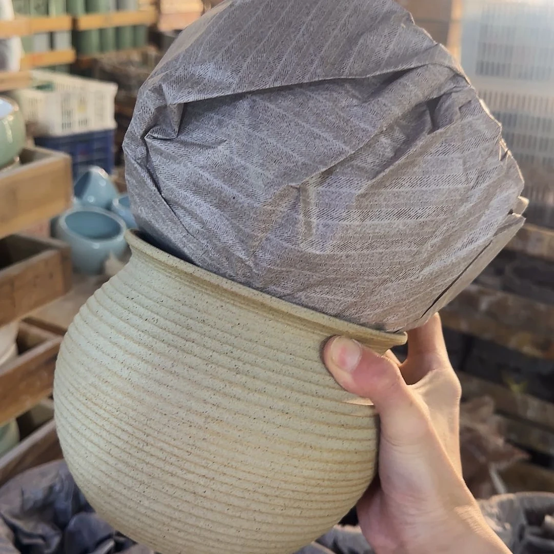 2个福利局［凑9元包邮24小时发］2201