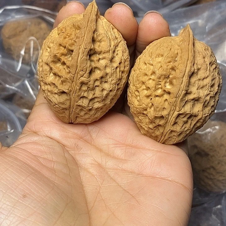 把件文玩核桃云南铁核桃4