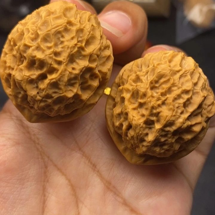 把件文玩核桃39尺珊瑚绣球