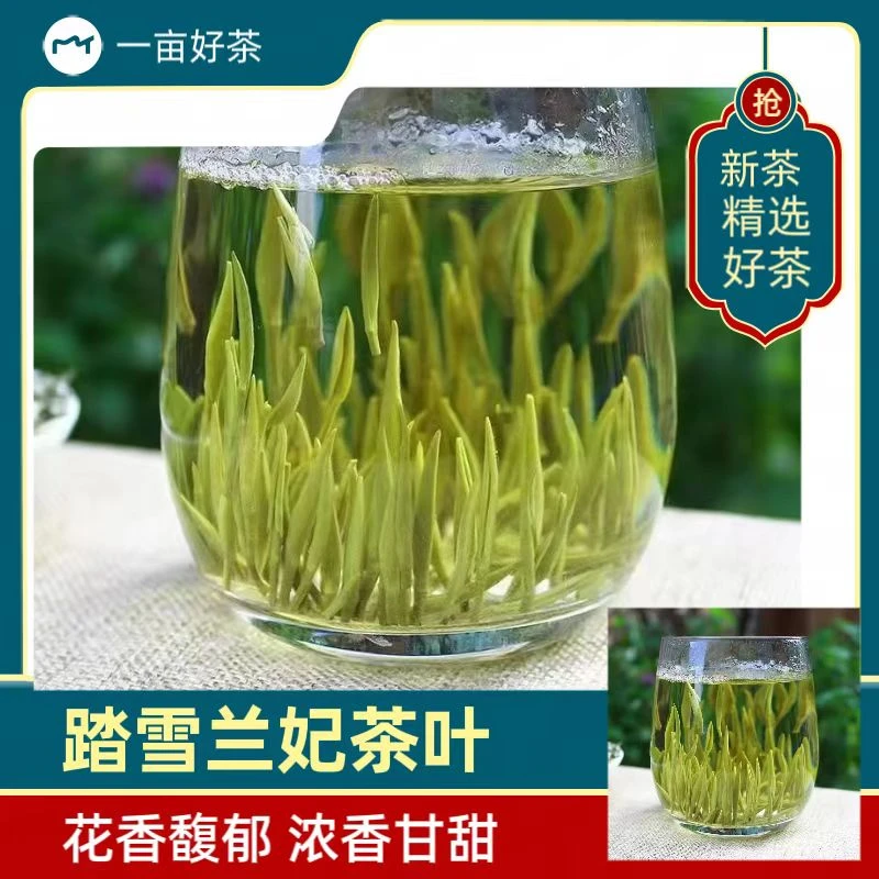 新茶兰妃茶兰花窨制蒙顶雪芽嫩芽店铺花茶兰花香