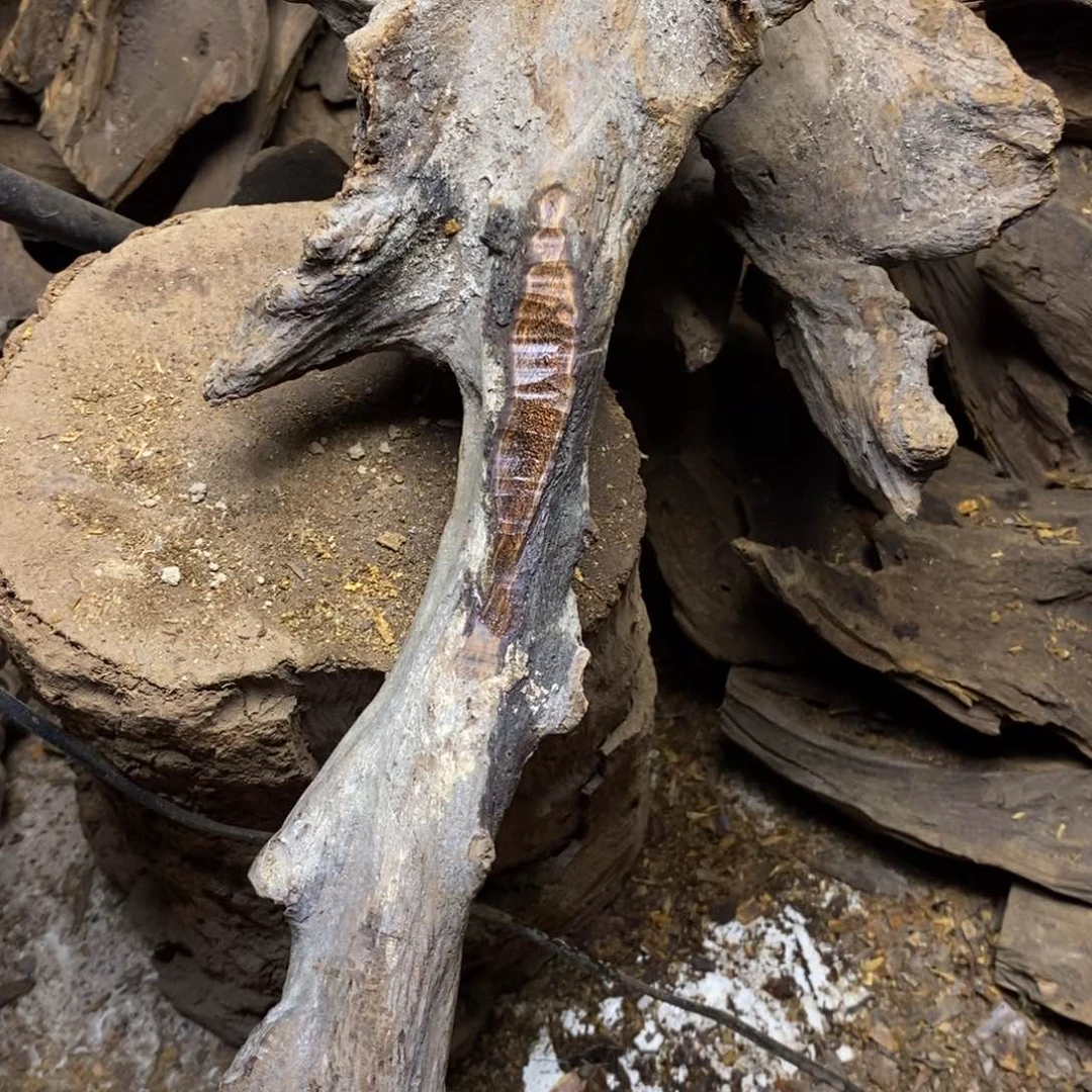 贡木S**/贡木手串手链项链