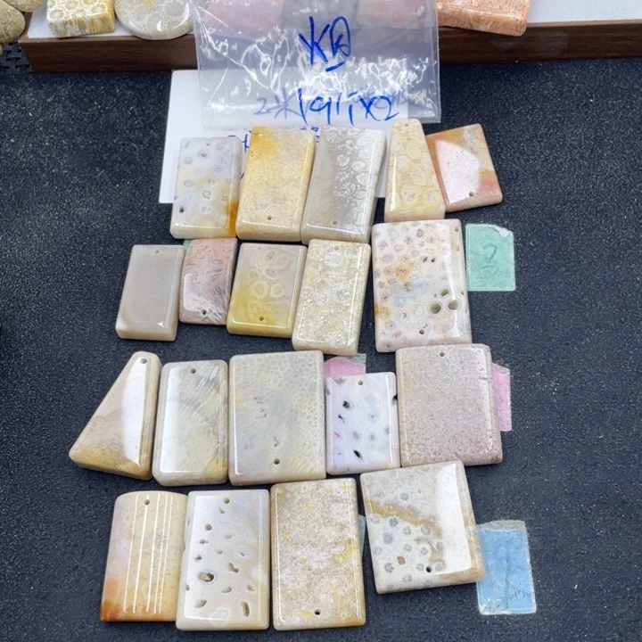 烟***岚硅化珊瑚（珊瑚玉）合金颈饰