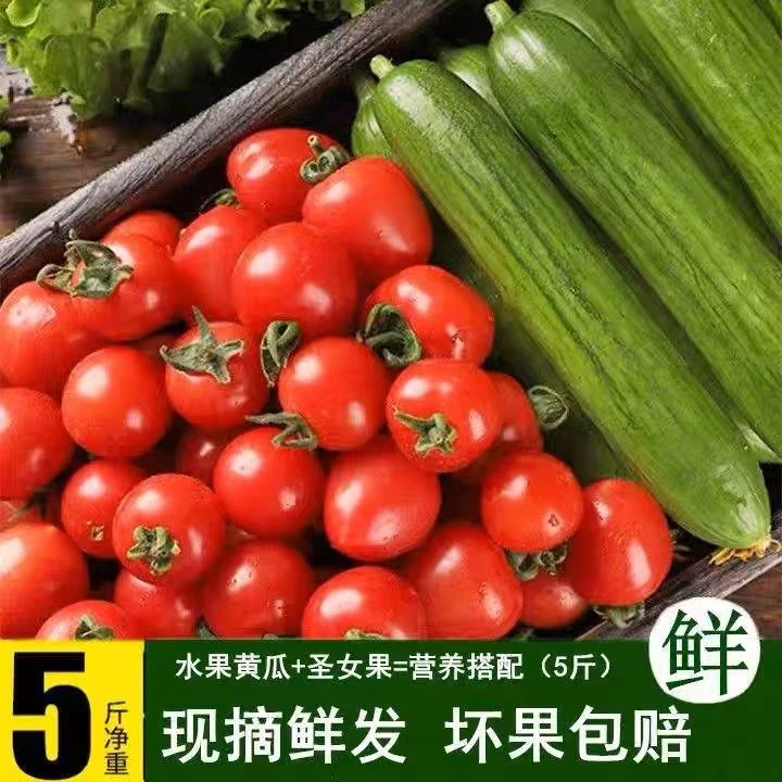 红色小番茄+水果黄瓜小西红柿千禧圣女果清脆小黄瓜新鲜水果