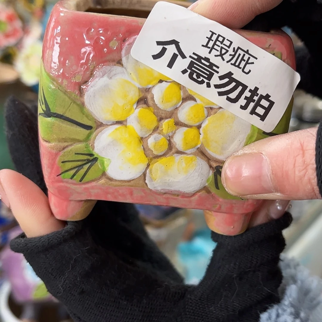 【闪购商品】红陶福利