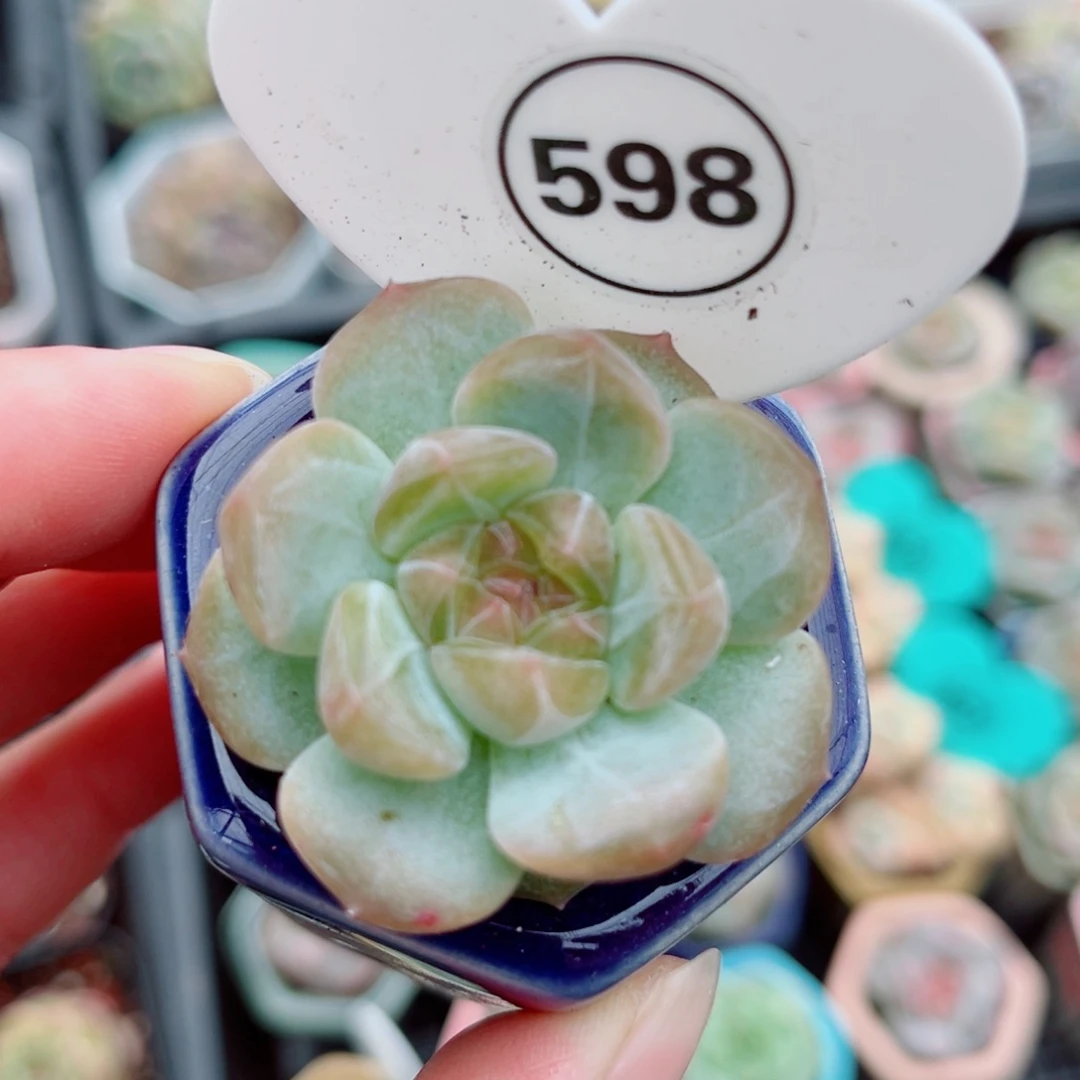 风靡园艺琉璃单头