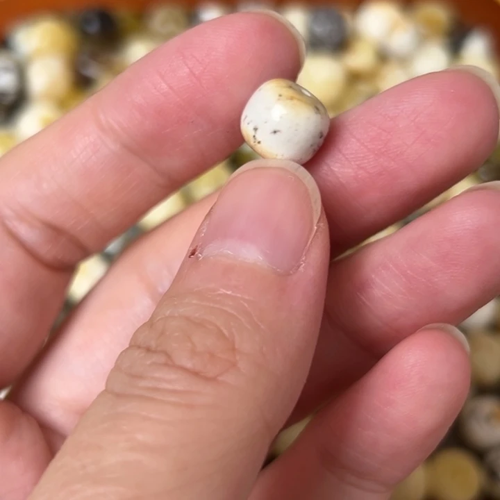 蜜蜡未镶嵌裸石9.9mm一个