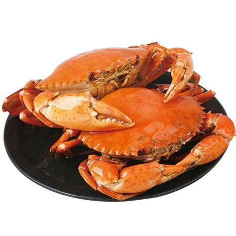 预售【魏来海鲜】【货发出概不拒收】特大红膏母蟹膏多肉满青蟹
