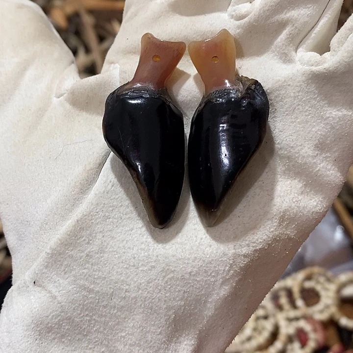 非金属鹿蹄鹿蹄鹿蹄