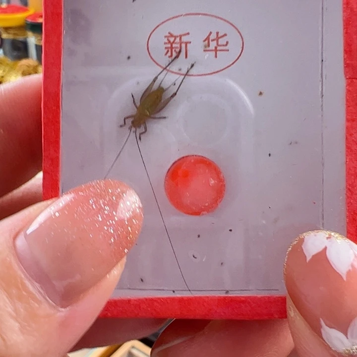 无**到哈哈哈段须大黄一个