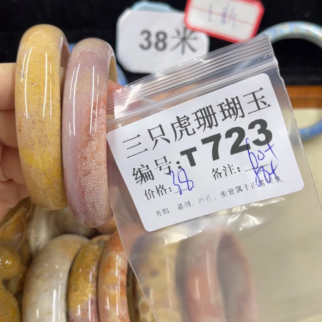 小***·硅化珊瑚（珊瑚玉）h未镶嵌