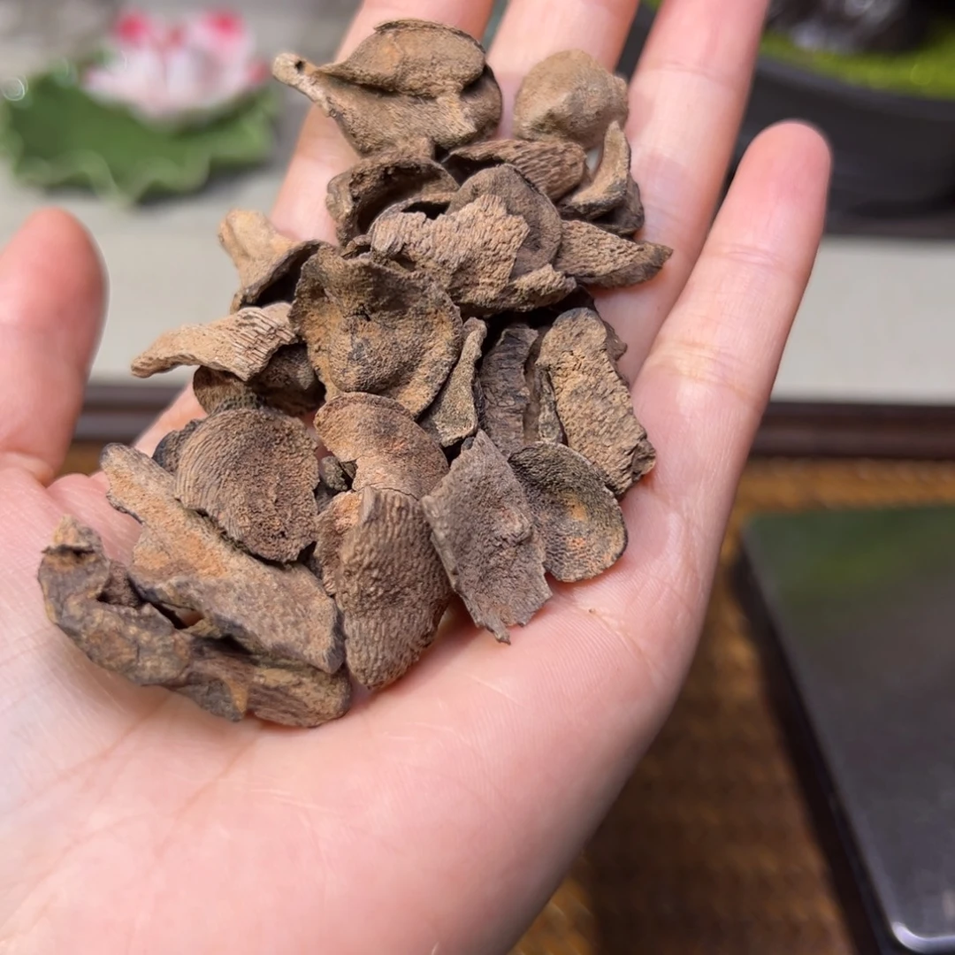 沉香碎屑沉香海南沉水红土香10.5克