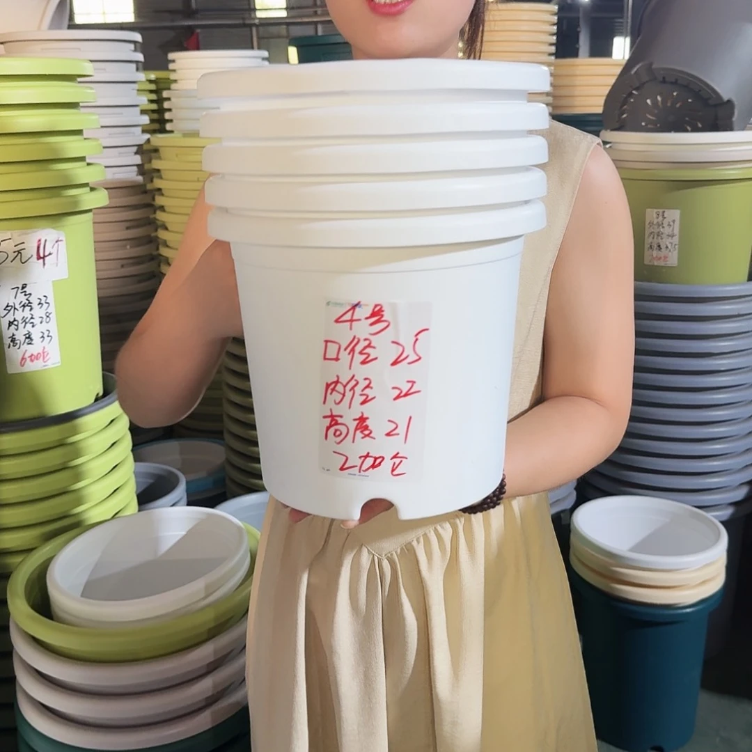 微瑕4#口径25无拖纯白5个