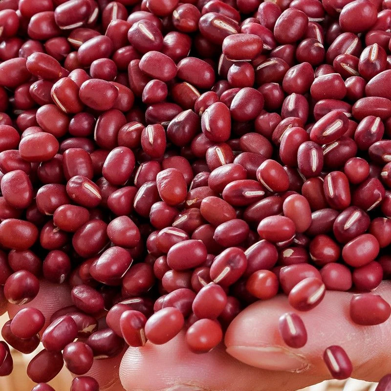 ［红豆]农家自晒小颗容易熟煲汤