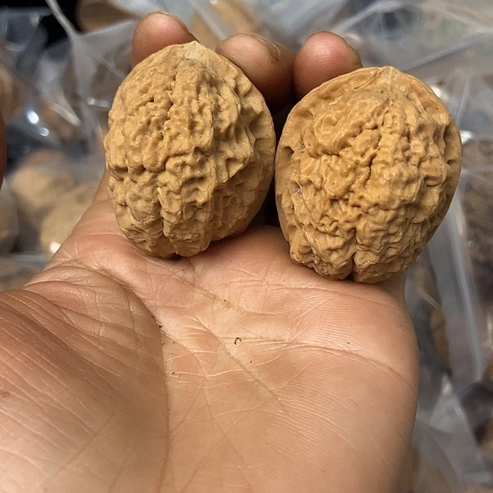 文玩核桃把件云南铁核桃基地10