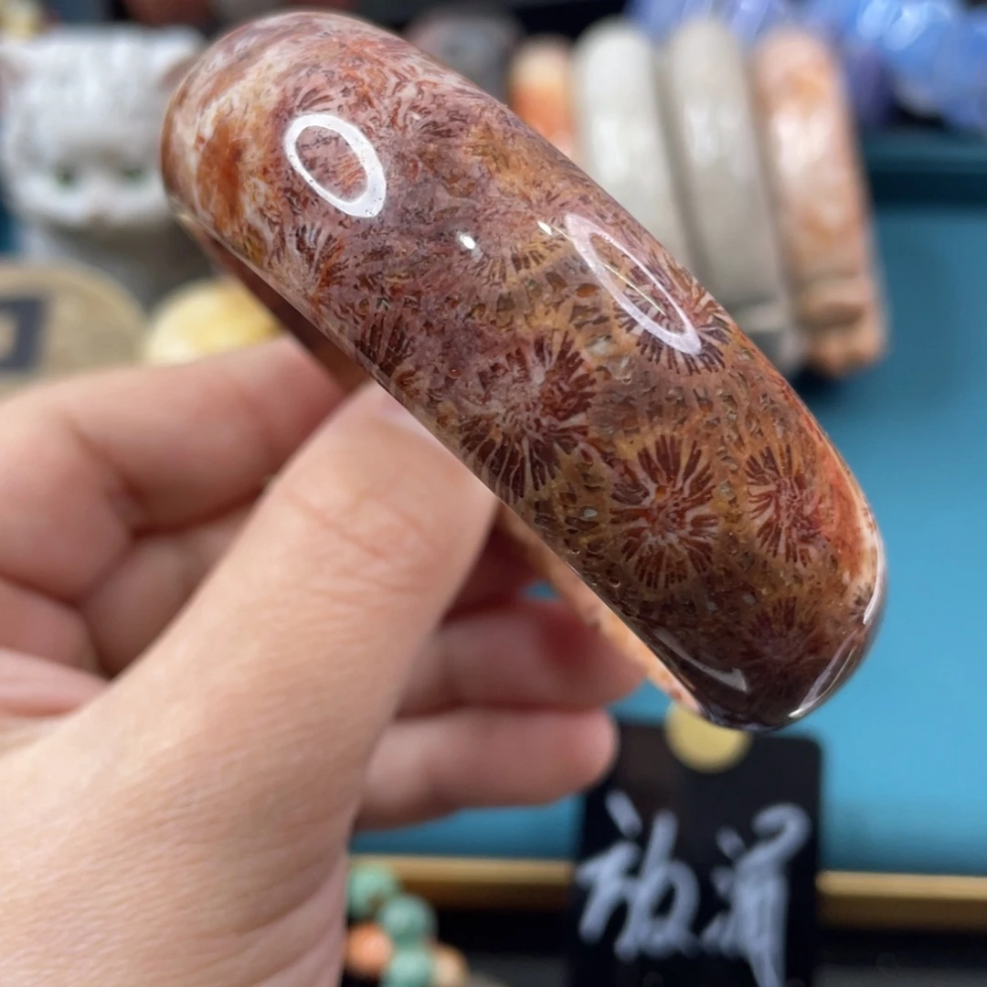 未镶嵌手镯硅化玉