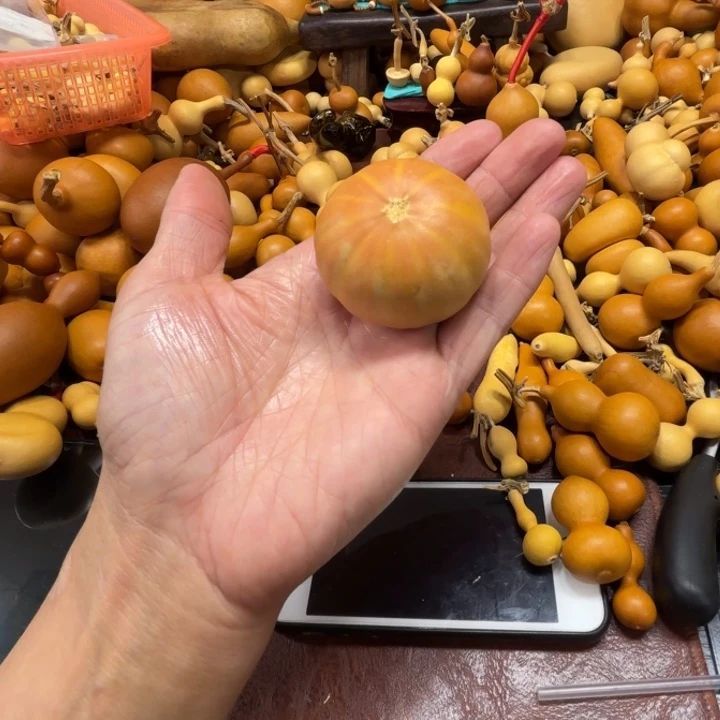 董*胖胖胖的一个七彩鲜花球活动董胖胖
