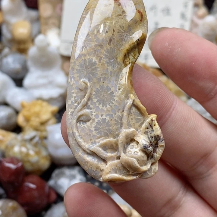 颈饰未镶嵌硅化珊瑚（珊瑚玉）有瑕