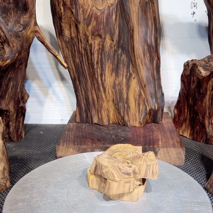 爱***植木直播间一物一拍