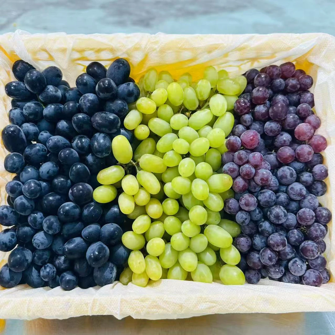 【全国八省】一框三色提子  香甜多汁  带框4.5斤左右