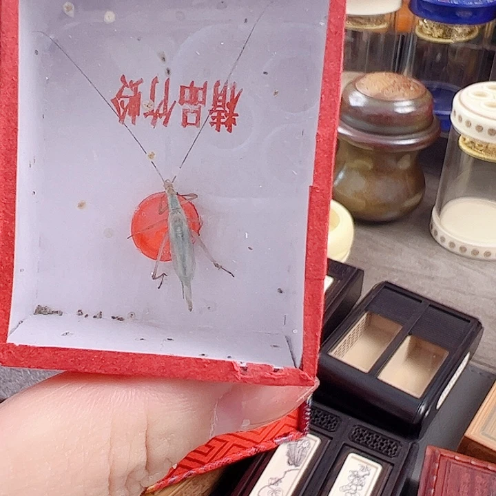 天***逸哈哈哈哈哈哈哈哈蓝竹