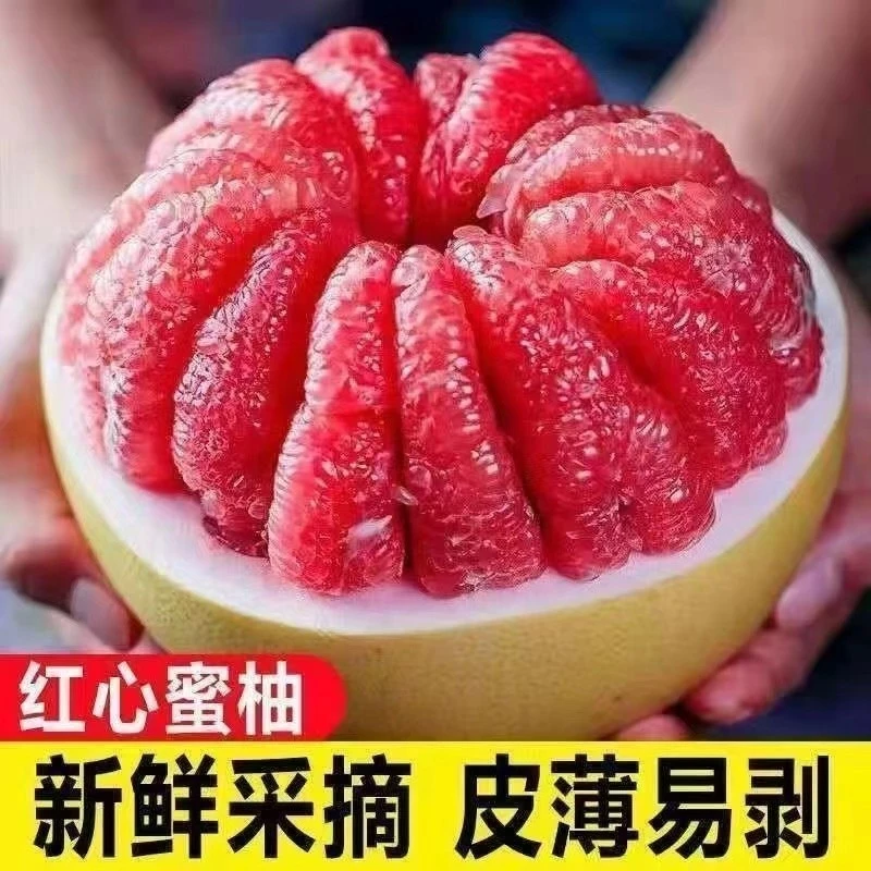 红心蜜柚老树头茬鲜果皮薄肉厚鲜嫩多汁