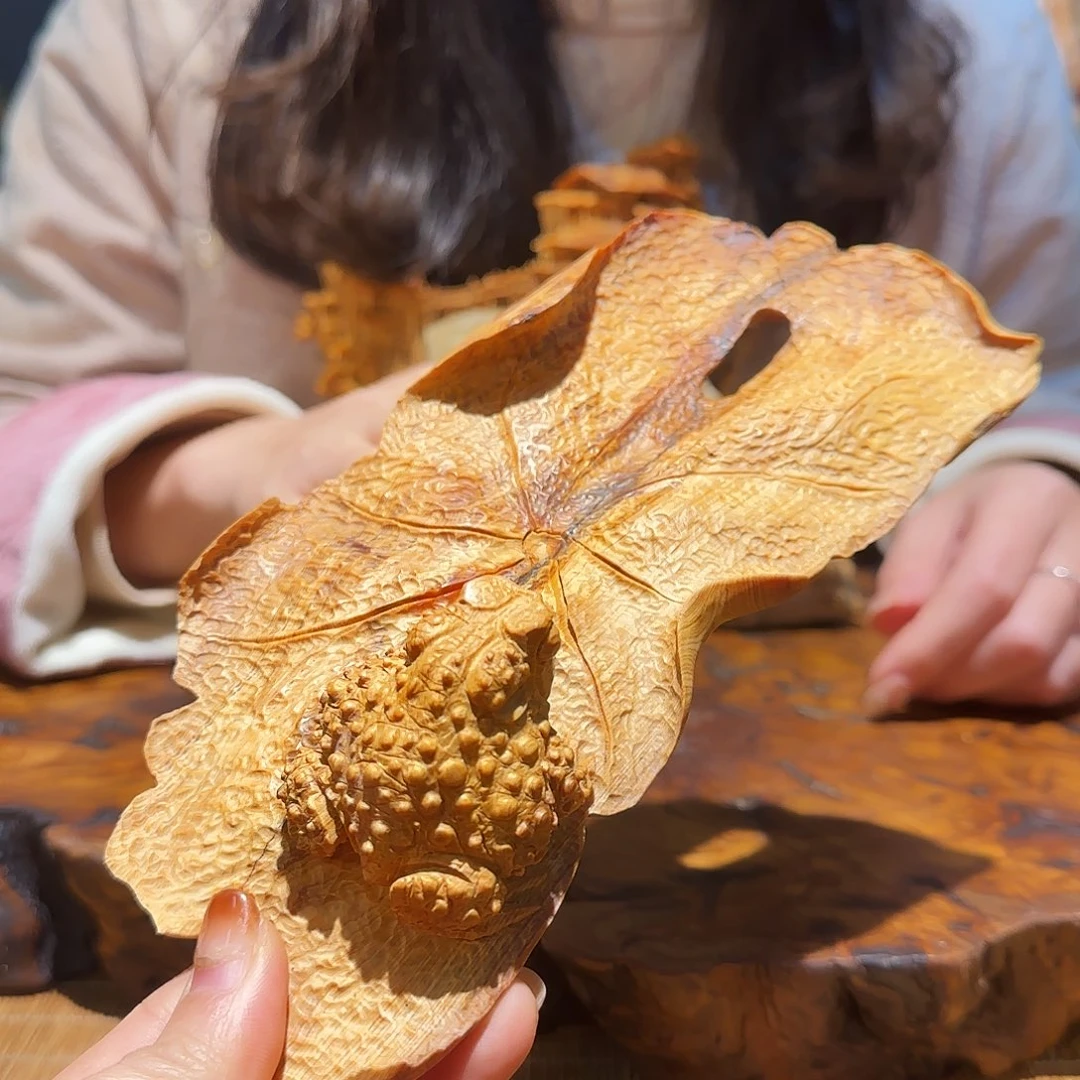 柏木（崖柏）太行集团