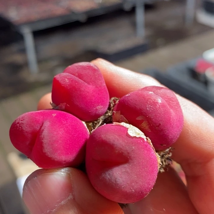 1021一组一组一组