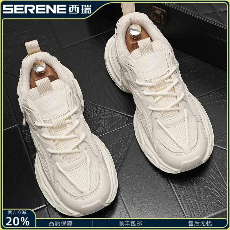 西瑞老爹鞋男2025新款男士运动鞋夏季透气休闲鞋男百搭鞋子男款