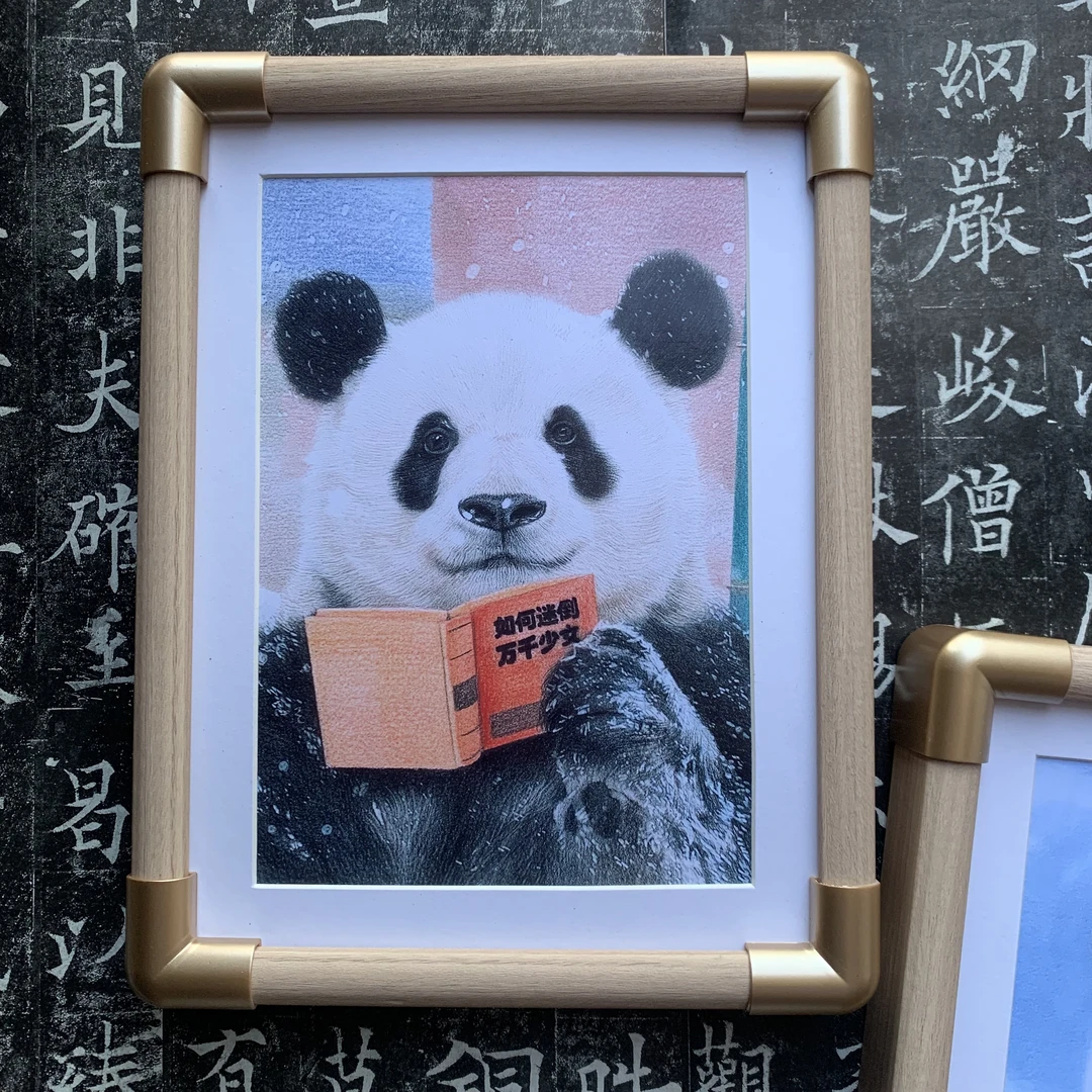 【萌兰萌大萌二小白天福星丫丫熊猫绘画主题相框】八寸照片周边摆台