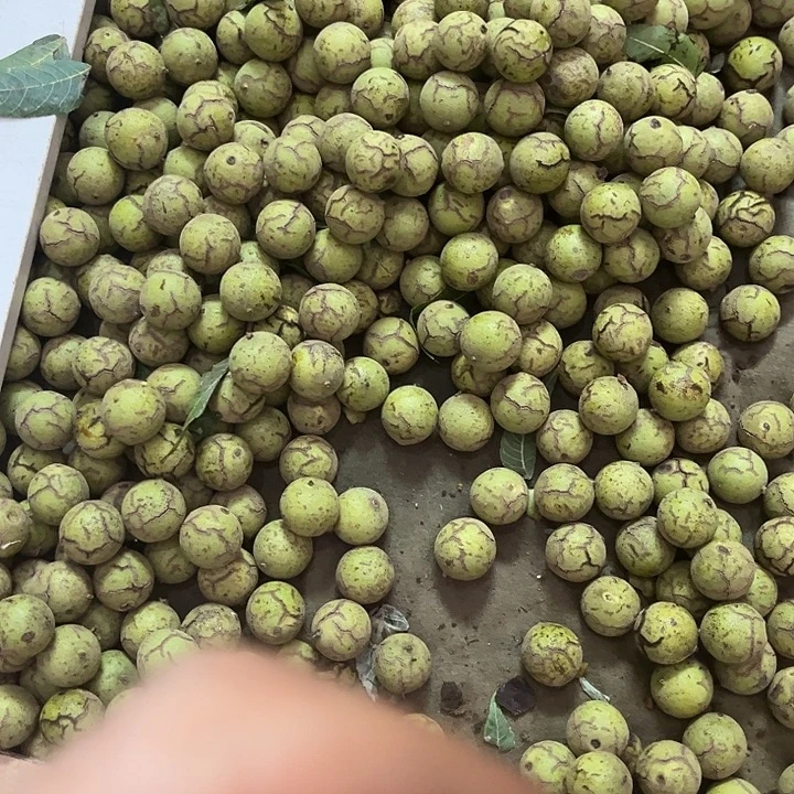 猴头核桃手串龙珠150颗青皮