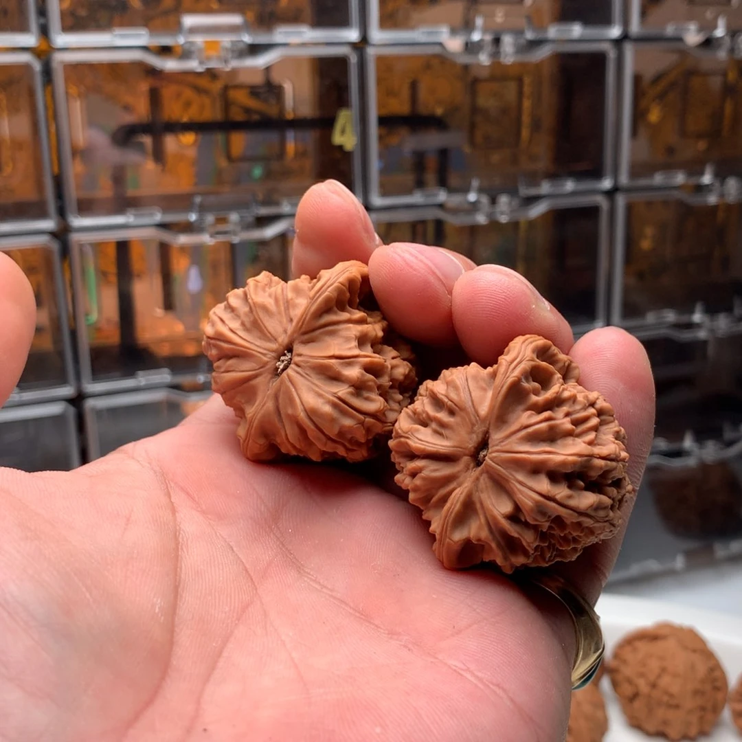 桃核把件*️**马老四 666888