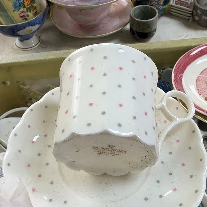 碟开播啦….开播啦