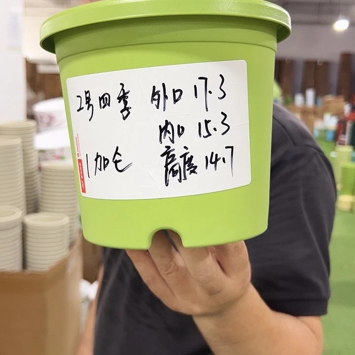 四季2号特价混色10个无托