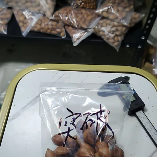 ****破吊坠橄榄核四花散籽