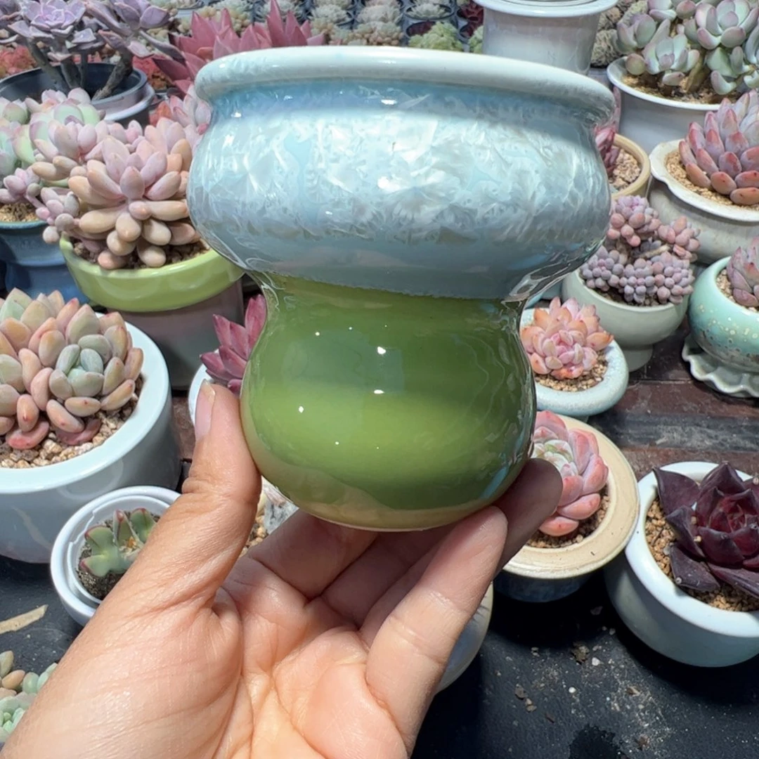 特价花盆 满50发货 内口7